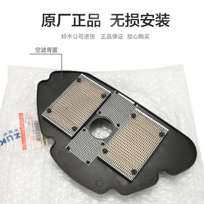 Dolphin Air Filter QS110T-2 – Air filter
