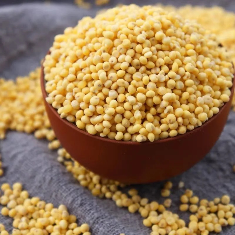 ��������������ز�ճŴ����ũ����������׷�����