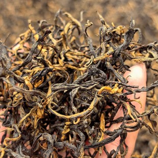 �²� ��t ��ϵ�t���P�c��Ұ��t���Լ������L݅Դ�^���|�t��