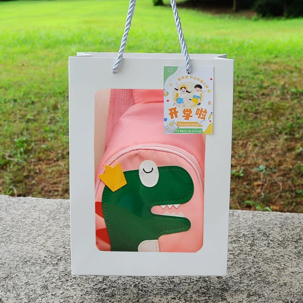 Upgraded pink dinosaur + back-to-school sunroof gift bag