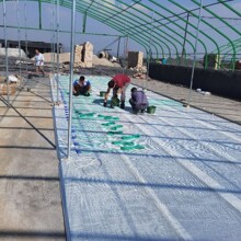 ʯīϩ늵�ů�l�ᾀ���S���l�l����|ú���늵�ů늵؟ᾀ�|