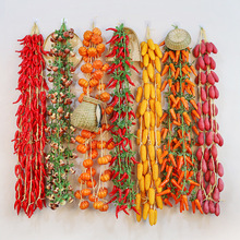 ��������һ�����L���߲˴������׼ٴ����r����ģ���r�Ҙ���b�