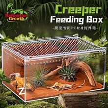 ������B��͸��������һ�w��M�b�ľ�з��B��ϐ�������x���B��