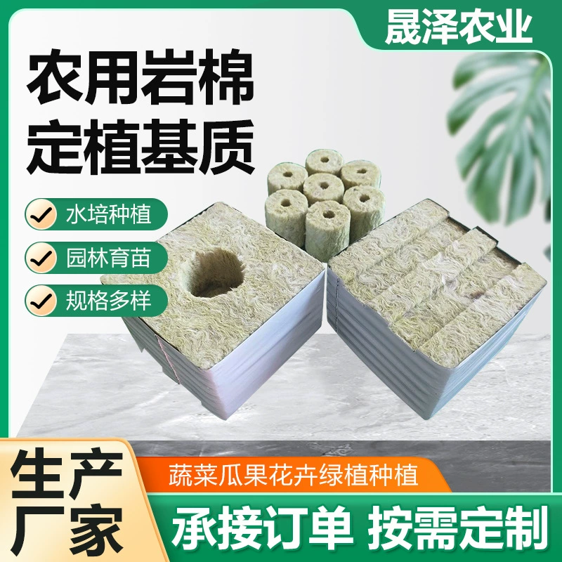 Сельскохозяйственная каменная хлопчатобумажная посадка в теплице