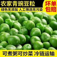新鲜豌豆粒速冻青豌豆甜青豆冷冻麦豌豆生青豆粒蔬菜商用豌豆2斤