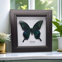 �G�����P��������˱���Ʒչʾ��Y��[���쮋�b���Ҋ���նY��