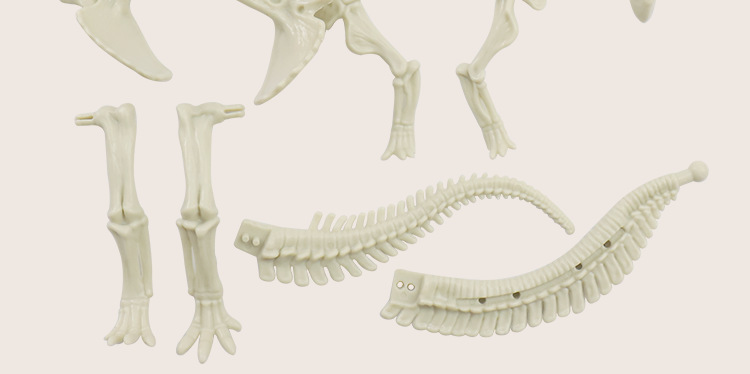 Dinosaur Fossil Excavation Kit Image 4