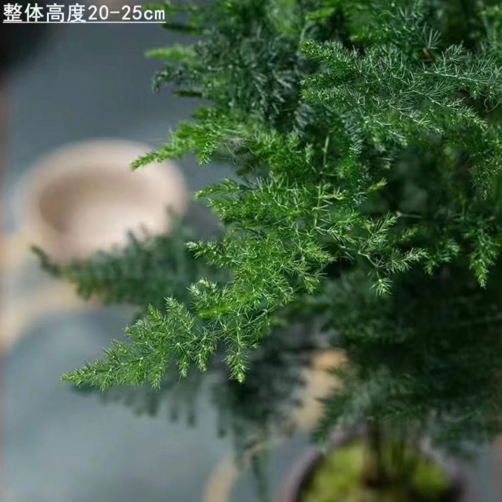 1a4208d5-6330-44f1-a182-ec2f84294fdf.jpe