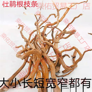 ���N��֦�lˮ ��ľ횸���֦�����ט�֦΢���^�쾰�ٗl��횸�