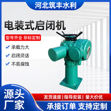 电动头启闭机回转式阀门双吊点QDA电动头直连式电动头启闭机