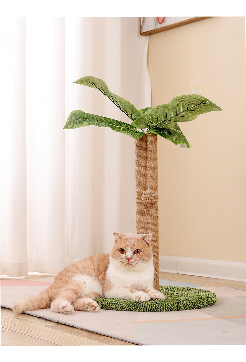 Marco de escalada para gatos Canna Canna Columna de captura para gatos Columna simple y tres columnas Marco de escalada para gatos de juguete