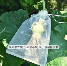 套梨袋苹果纸袋防虫树上果实袋套袋果树果袋包桃子葡萄
