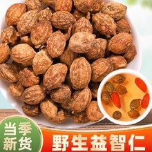 野生仁 益智仁 免费打粉500克包邮 搭配远志伸筋草中药材一件起批