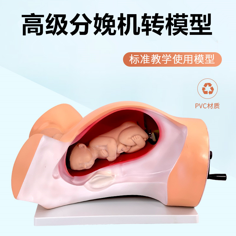 �����תģ�� �����ת�Խ�ģ�� ���������ʾ��ѧģ�� ������ѧ