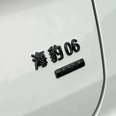 Car logo – Front Emblem, No Need to Remove