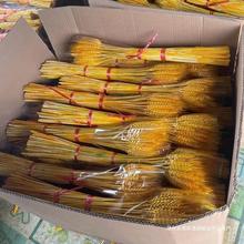 廠家直銷廠家直銷批發套袋大麥干花10000支價格天然