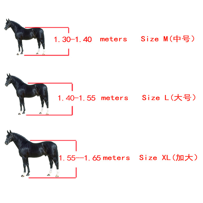 SIZE.jpg?x-oss-process=image/format,png