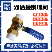 �p����S�~���yPPRˮ��������^����4��20�_�P6��25�y�T���y