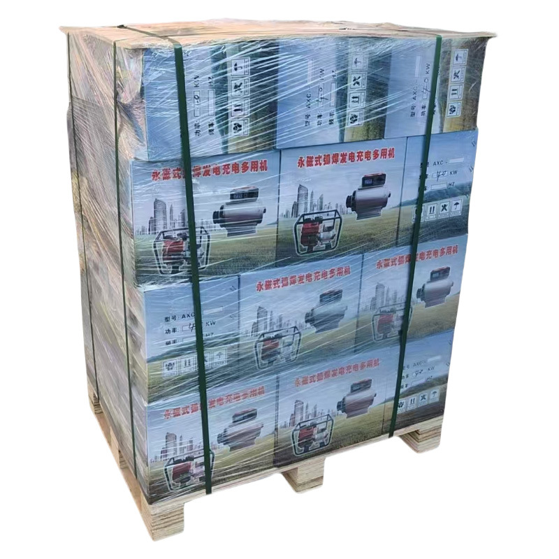 Factory In-Stock Generator 220V Dc Brushless Small Permanent Magnet Dual-Purpose Generator Outdoor Portable Generator