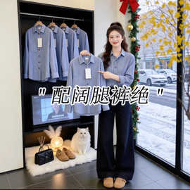 仅用于产品展示勿拍-蓝色条纹长袖衬衫女2026新款春季衬衣高级感