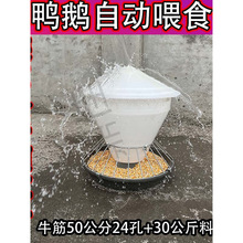 ι�uʳ�۷����u���Z�Ԅ�ι�uʳ��ιʳ�ۼ����Ԅ�ιʳ