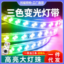 高压5730室外三色变光灯条家用变色客厅吊顶220V户外防水LED灯带