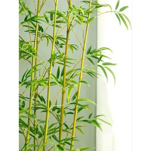 �������Ӽ�ˮ����������ӎ������ֲ����������Ƶꌣ���b��쾰