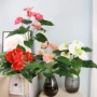 盆栽乔迁仿真家居仿真花