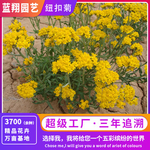 ���뱬�����~�۾շN��ͥԺ���������c�Y���B�׻�ѯ���