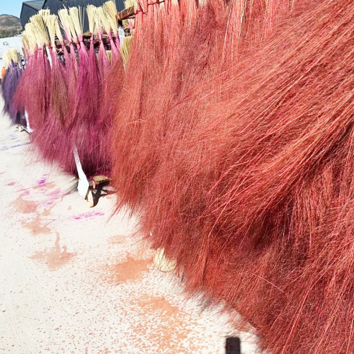 Hollywood Poppy Madder Grass Yunnan Everlasting Flower Dried Flower Home Landscape Background Decoration Flower Material Factory Wholesale Flower Material