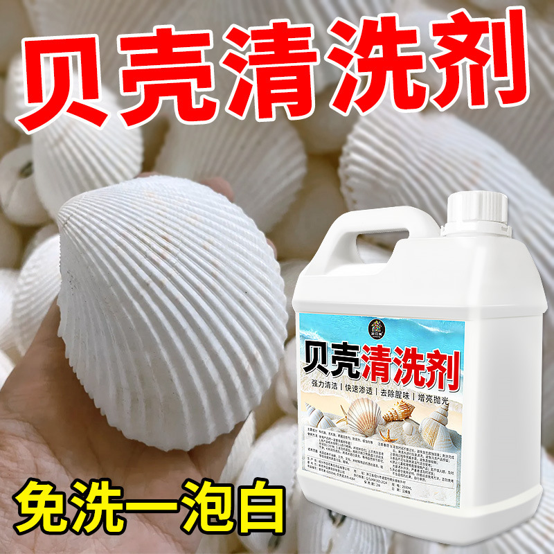 Shell Cleaner, Powerful Decontamination, Cleaning Conch, Abalone Shell, Coral Brightening and Polishing Shell, Fishy Smell and Odor Removal Cleaner Shell Cleaner, Powerful Decontamination, Cleaning Conch, Abalone Shell, Coral Brightening and Polishing Shell, Fishy Smell and Odor Removal Cleaner
