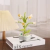 Section 103B-7: lily of the valley