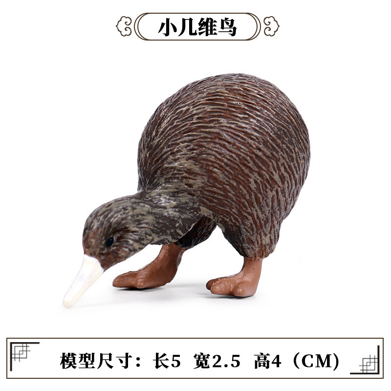 429 Little Kiwi【0.019kg】