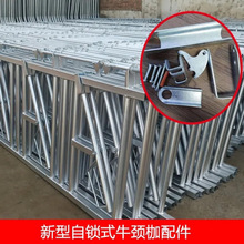 ţ�i�A�������\������_�����λ����p�_������i����������O