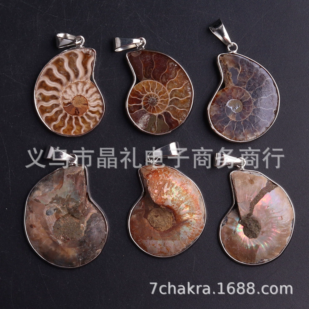 Натуральная ракушка боярышника грубая перегрузка snail wealth snail открытая нарезанная ракушка окаменелость подвеска Ракушка Окаменелость