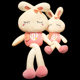Grabbing Doll 8inch Plush Toy Night Market Stall Ring Doll Wedding Throwing Doll Event Wedding Gift