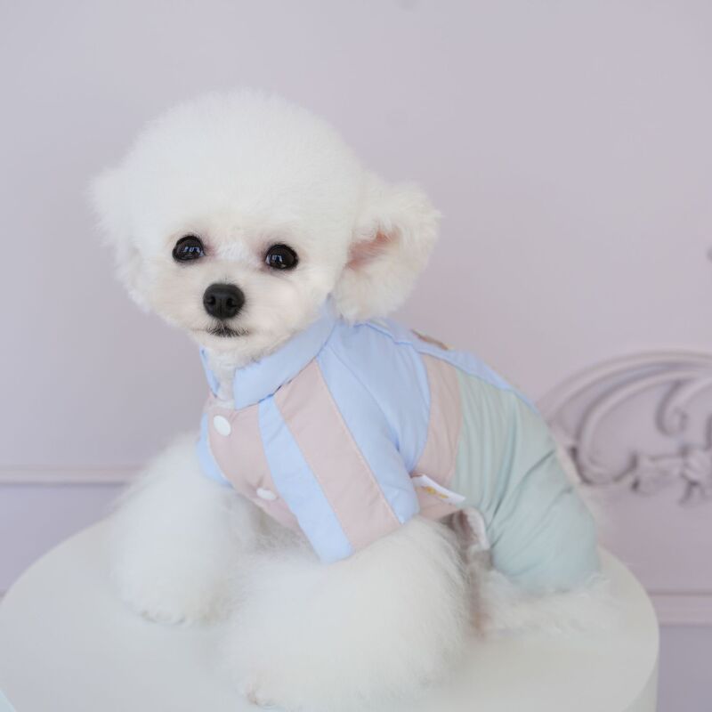 小型犬四脚外套秋冬厚款太空系列四脚防水防风保暖外出服宠物衣服|undefined