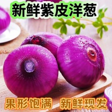 农家现挖紫皮小洋葱9斤脆甜紫皮新鲜蔬菜圆葱头整箱包邮优质全年
