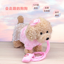 ���Q�羳늄���߹�̩�Ϲ����K��·��β�͸Б��Ĵ�W�fԒ��������