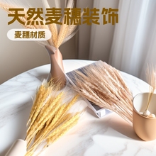 ������Ȼ����ɻ��������b�Ʒ�[���S������廨�羳���N�ɻ�С��
