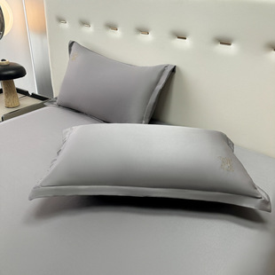 Ice Silk Pillowcase Silk Pillow suit Pair Household Single 48cm x 74cm Adult Men's Whole Set Single