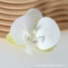 3D film white green (small)