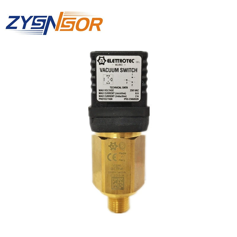 Италия ELETTROTEC реле давления VSM1 BER14 -100/-500MBAR Резьба G1/4