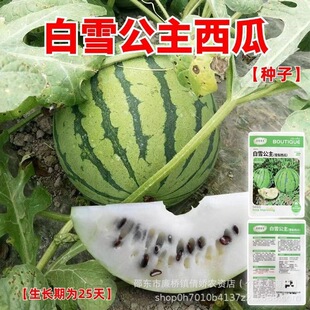 ��ѩ�������ϷN�Ӱ�ȿ���ϷN�����F�������ϷN���ļ��߮a���ϷN��