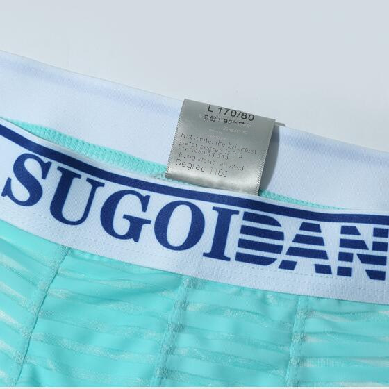 Men's Underwear Men's Boxer Shorts Stripe Transparent Sexual Interest Underwear Personality Sassy Youth Four Corners Breathable Pants Head 
