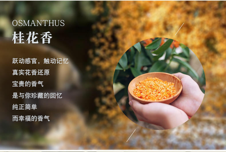 Xiaocheng Yixiang Osmanthus Perfume, Long-lasting Rose, Green Tea, White Tea, Gardenia, Douyin Bestseller Men's and Women's Perfume wholesale Application Scenario