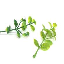 ����ֲ����滨����ˮ����� ����z�������辰ˮ���b� ��ƺС��