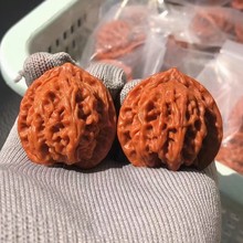 厂家直销各种类秋子手捻文玩核桃官帽核桃厂家大量批发