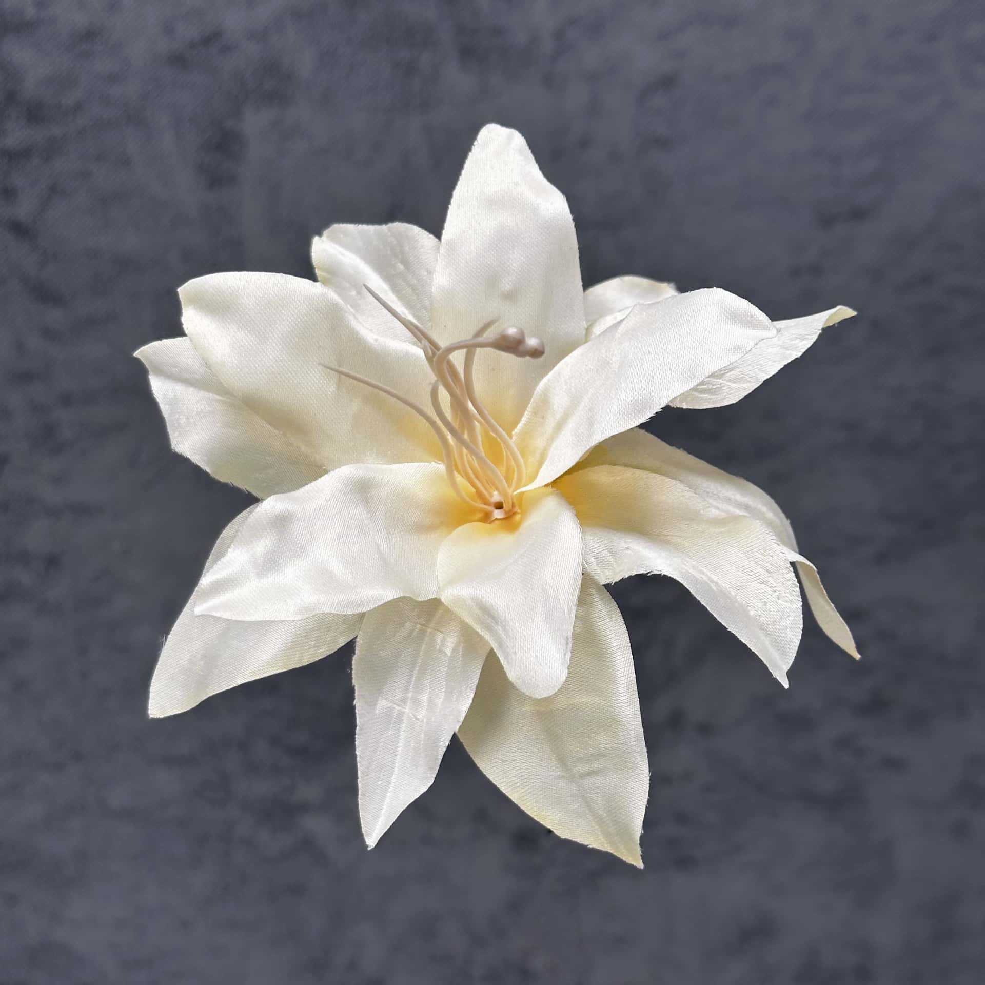 Cabeza de Lirio de Seda de 13 cm - Nuevo Champagne