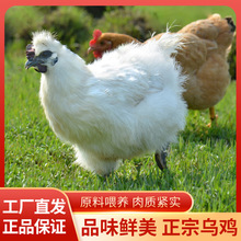 ɢBuFrurҞuСuurĸuߵuֻ